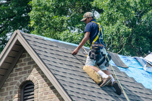 Best Roof Restoration Services  in Southern Pines, NC